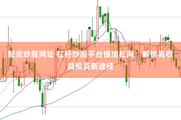 配资炒股网址 杠杆炒股平台搜加杠网：解锁高收益投资新途径