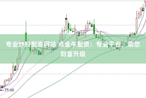 专业炒股配资网站 点金牛配资：专业平台，助您财富升级