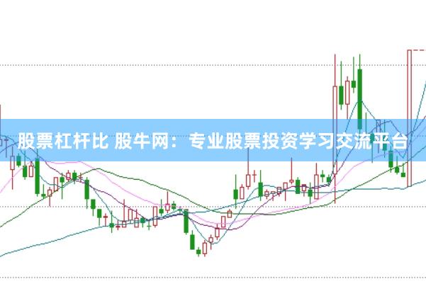 股票杠杆比 股牛网：专业股票投资学习交流平台