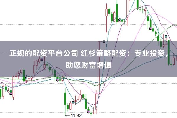 正规的配资平台公司 红杉策略配资：专业投资，助您财富增值