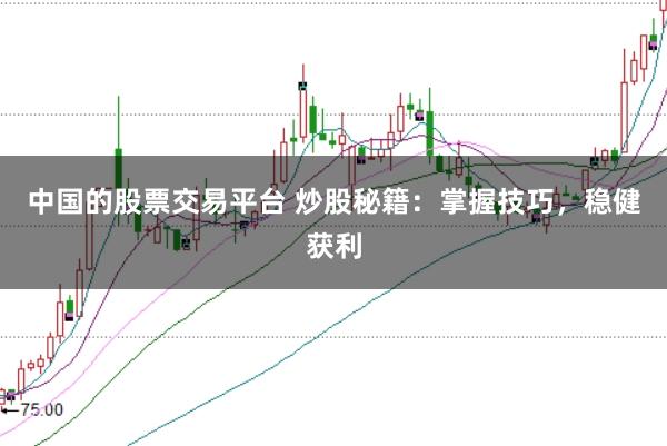 中国的股票交易平台 炒股秘籍：掌握技巧，稳健获利