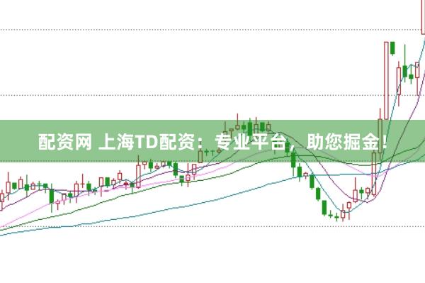 配资网 上海TD配资：专业平台，助您掘金！