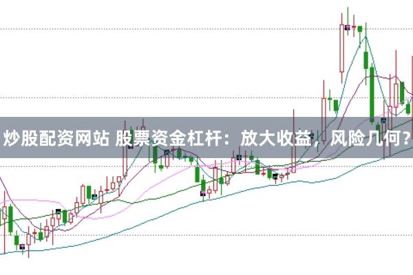 炒股配资网站 股票资金杠杆：放大收益，风险几何？