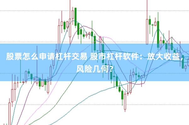 股票怎么申请杠杆交易 股市杠杆软件：放大收益，风险几何？