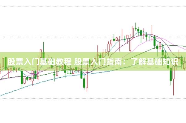 股票入门基础教程 股票入门指南:了解基础知识