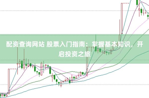 配资查询网站 股票入门指南:掌握基本知识,开启投资之旅