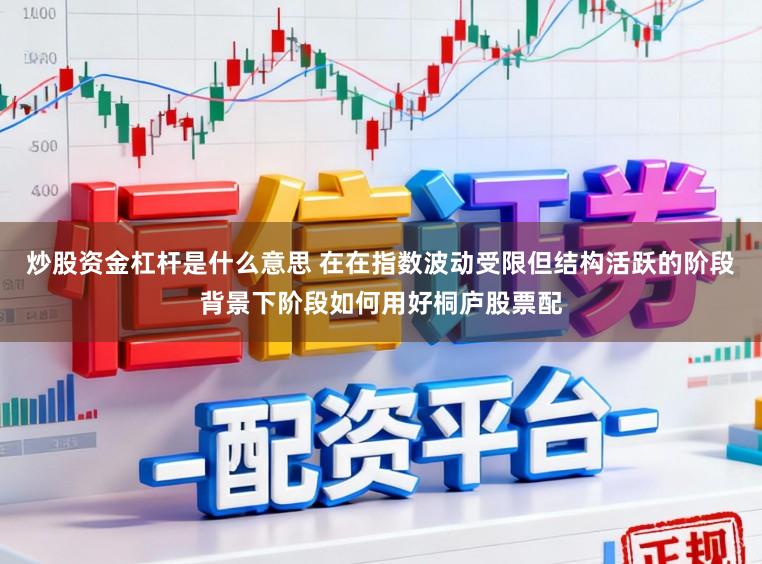 炒股资金杠杆是什么意思 在在指数波动受限但结构活跃的阶段背景下阶段如何用好桐庐股票配