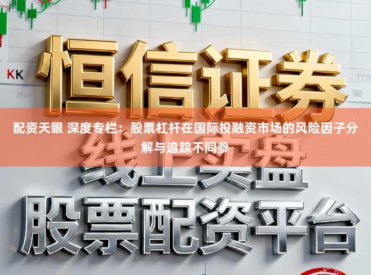配资天眼 深度专栏：股票杠杆在国际投融资市场的风险因子分解与追踪不同参