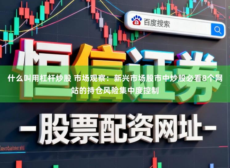 什么叫用杠杆炒股 市场观察：新兴市场股市中炒股必看8个网站的持仓风险集中度控制