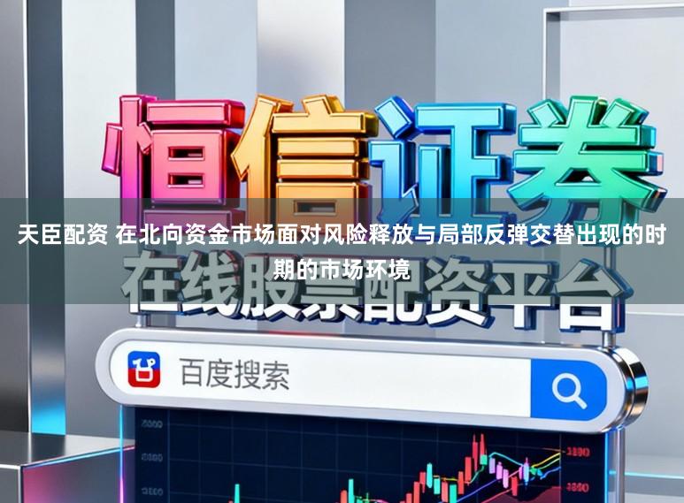 天臣配资 在北向资金市场面对风险释放与局部反弹交替出现的时期的市场环境