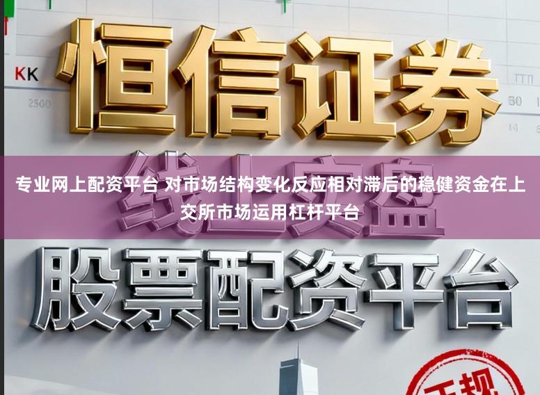 专业网上配资平台 对市场结构变化反应相对滞后的稳健资金在上交所市场运用杠杆平台