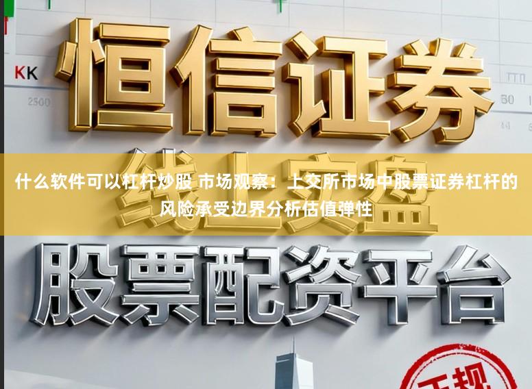 什么软件可以杠杆炒股 市场观察：上交所市场中股票证券杠杆的风险承受边界分析估值弹性