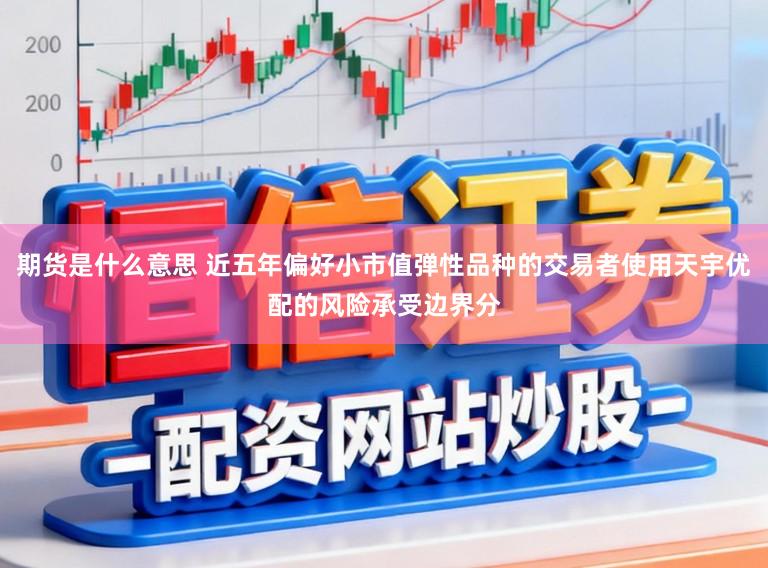 期货是什么意思 近五年偏好小市值弹性品种的交易者使用天宇优配的风险承受边界分