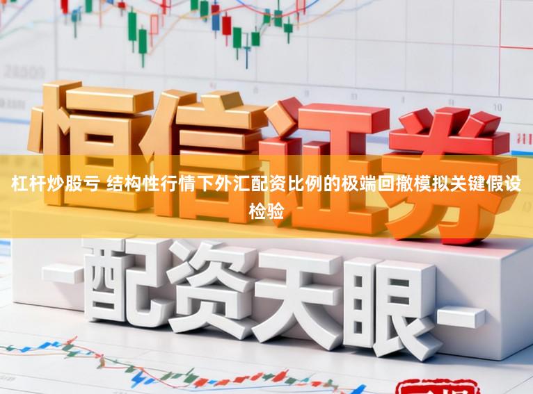 杠杆炒股亏 结构性行情下外汇配资比例的极端回撤模拟关键假设检验